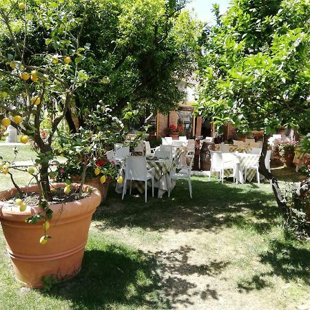 Villa Esmeralda Amantea Buitenkant foto